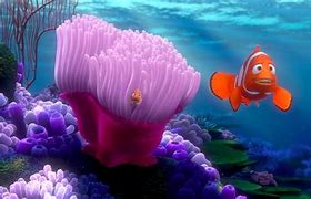 Image result for Main Characters in Finding Nemo