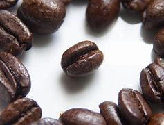 Image result for Cofee Bean Background