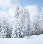 Image result for snowy winter trees