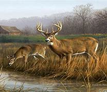 Image result for Hunting and Fishing Backgrounds