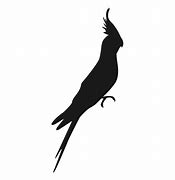 Image result for Tropical Bird Silhouette