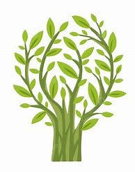 Image result for Leag Branch Vector