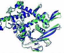 Image result for Hierarchy of Molecular Work