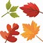 Image result for Fall Leaf Shapes Printable