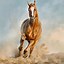 Image result for Adult Coloring Horses