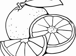 Image result for Orange Wedge Coloring Page