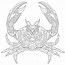 Image result for Free Sea Life Coloring Pages