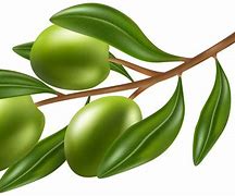 Image result for Olive Green Flowers Clip Art