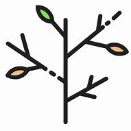 Image result for SIB Tree Branch Icon