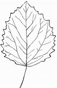 Image result for Aspen Leaf Clip Art