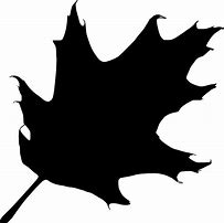 Image result for Maple Leaf Silhouette Clip Art