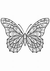 Image result for Rainforest Butterfly Coloring Pages