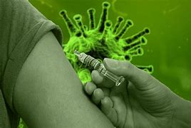 Image result for BCG Vaccine for Newborn