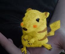 Image result for Real Pokemon Pikachu