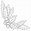 Image result for oak leaf outline