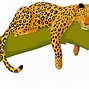 Image result for Jaguar Colour in Clip Art