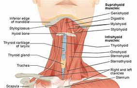 Image result for Anime Mouth Side View