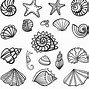 Image result for Beach Shells Coloring Pages