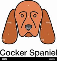 Image result for Cocker Spaniel Rare Colors