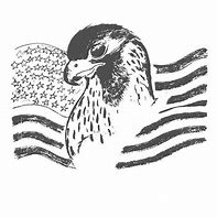 Image result for Eagle with American Flag Drawing