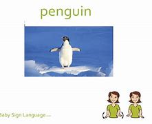 Image result for Sign Language Flash Cards for Babies