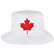 Image result for Faint Happy Birthday Canada Day Maple Leaf