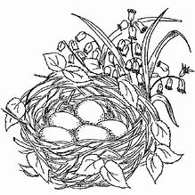 Image result for Bird Nest Coloring Page