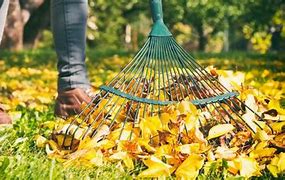 Image result for Raking Leaves in Snow Images