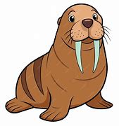 Image result for Sea Otter Bing