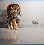 Image result for MacBook Pro Screensaver