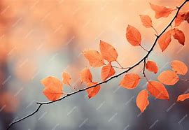 Image result for Tree Leaves Silhouette