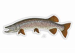 Image result for Musky Stickers