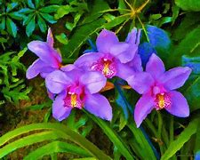 Image result for Orchid Flower Painting