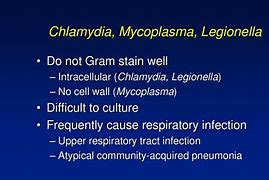 Image result for Chlamydia Trachomatis Gram Stain