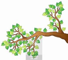 Image result for Tree Branch Cartoon Image