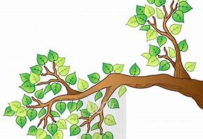 Image result for Tree with a Low Branch Cartoon