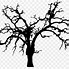 Image result for Large Tree with Branches