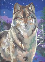 Image result for Night Wolf Art