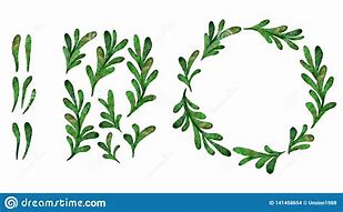 Image result for Watercolor Green Leaves Clip Art