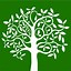 Image result for Tree Branch Cartoon Image