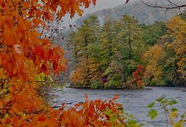 Image result for Fall in CT