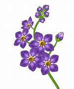 Image result for Violet Flower Clip Art