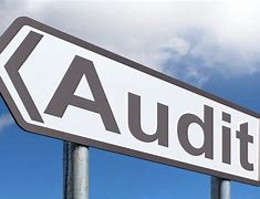 Image result for External Audit