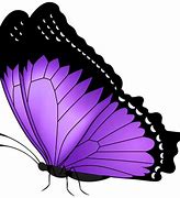 Image result for Butterfly Tree Logo