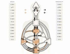 Image result for Human Design Bodygraph