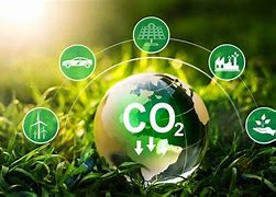 Image result for Carbon Footprints with Family