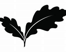 Image result for oak leaf silhouette vector