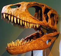 Image result for Cretaceous Dinosaurs