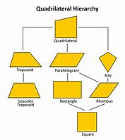 Image result for Quadrilateral Hierarchy Chart