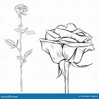 Image result for Long Stem Rose Line Art